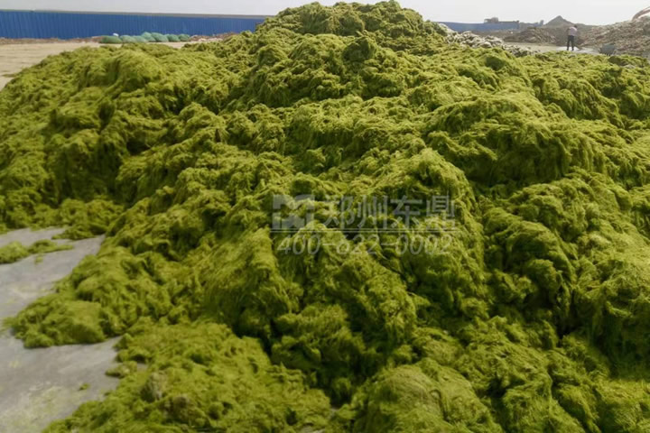 牧草烘干機如何科學(xué)選型？牧草烘干過程中營養(yǎng)成分會流失嗎
