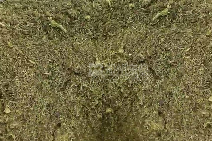 牧草烘干機如何科學(xué)選型？牧草烘干過程中營養(yǎng)成分會流失嗎